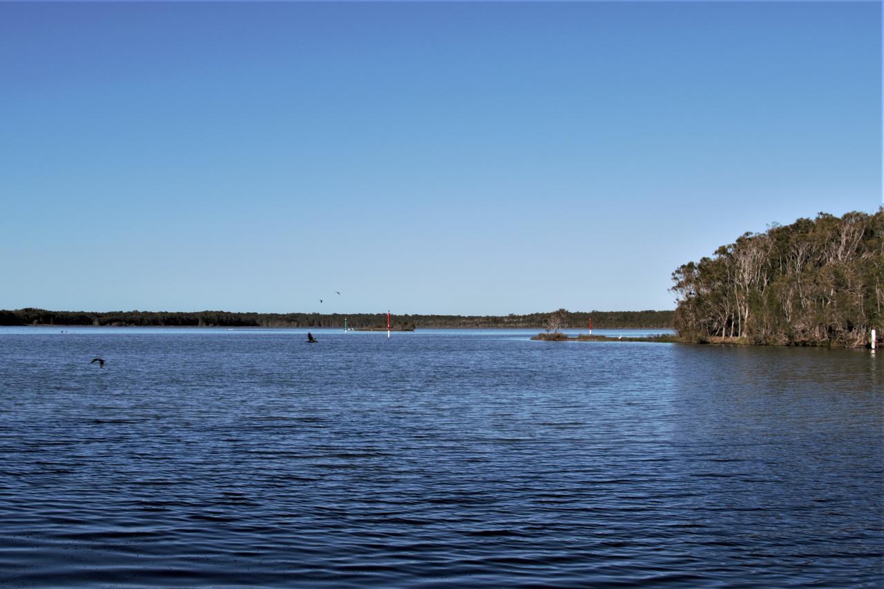 Hibiscus Lakeside